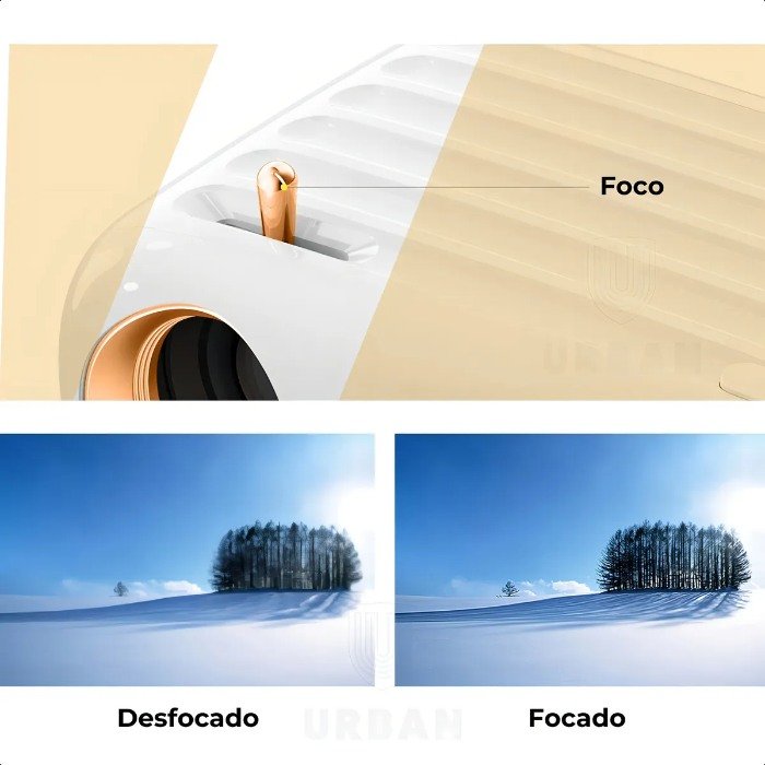 D_NQ_NP_2X_891091-MLU78851136145_082024-F D NQ NP 2X 891091 MLU78851136145 082024 F