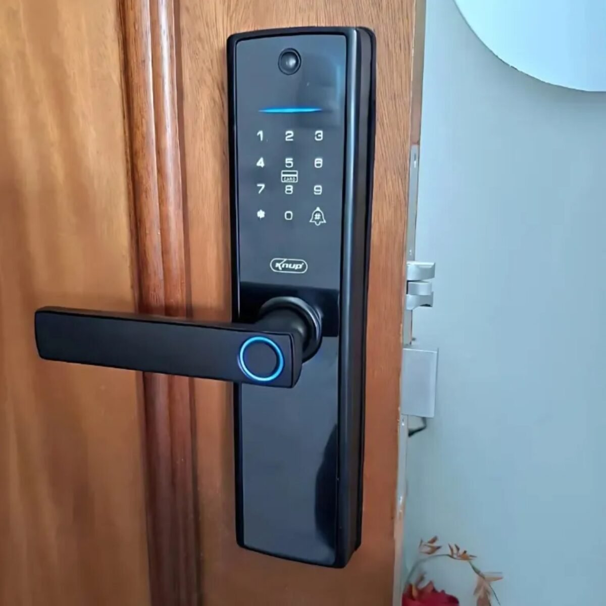 WhatsApp Image 2026 01 08 at 17.38.26